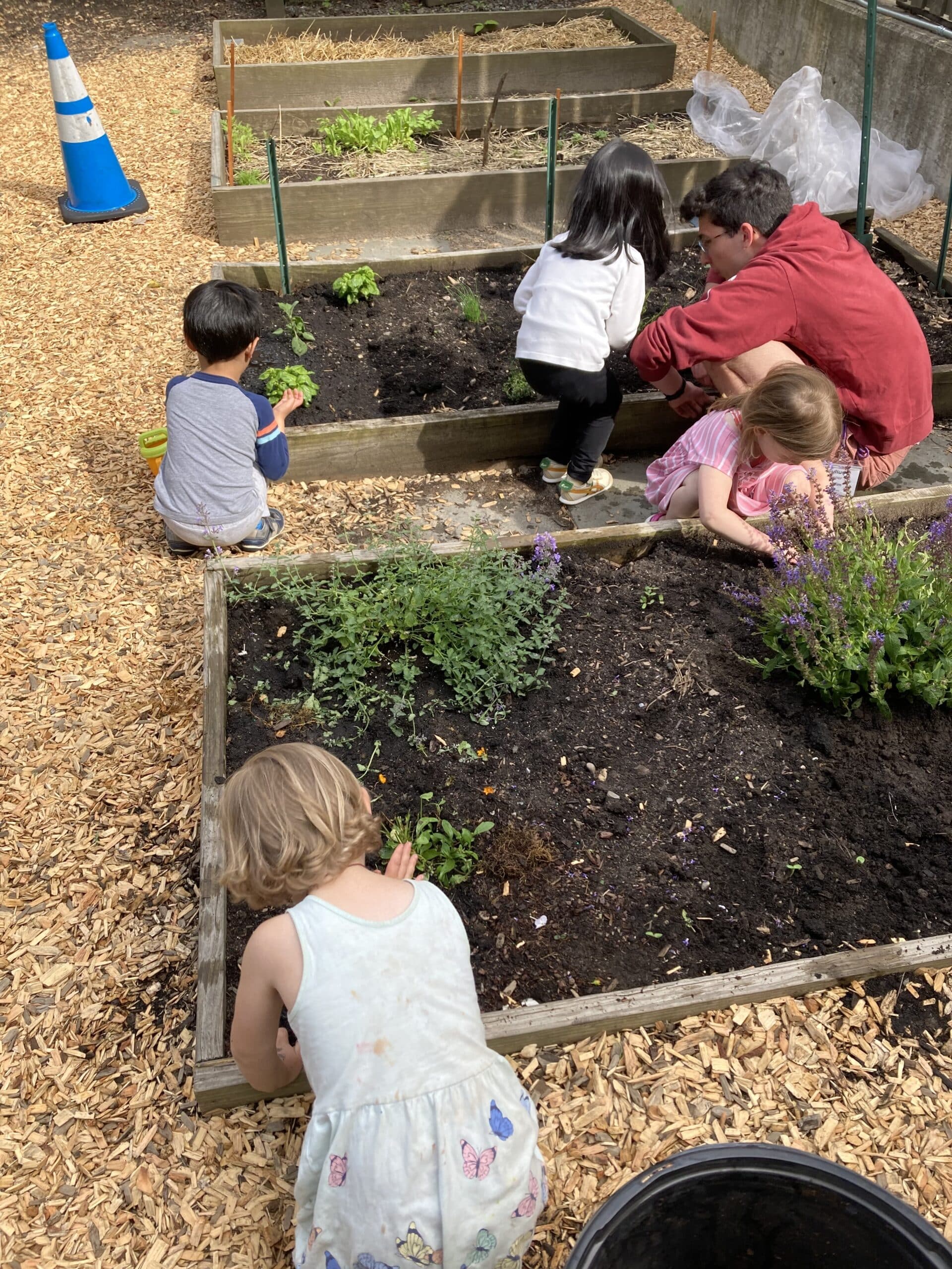 Children digging and planting a garden
